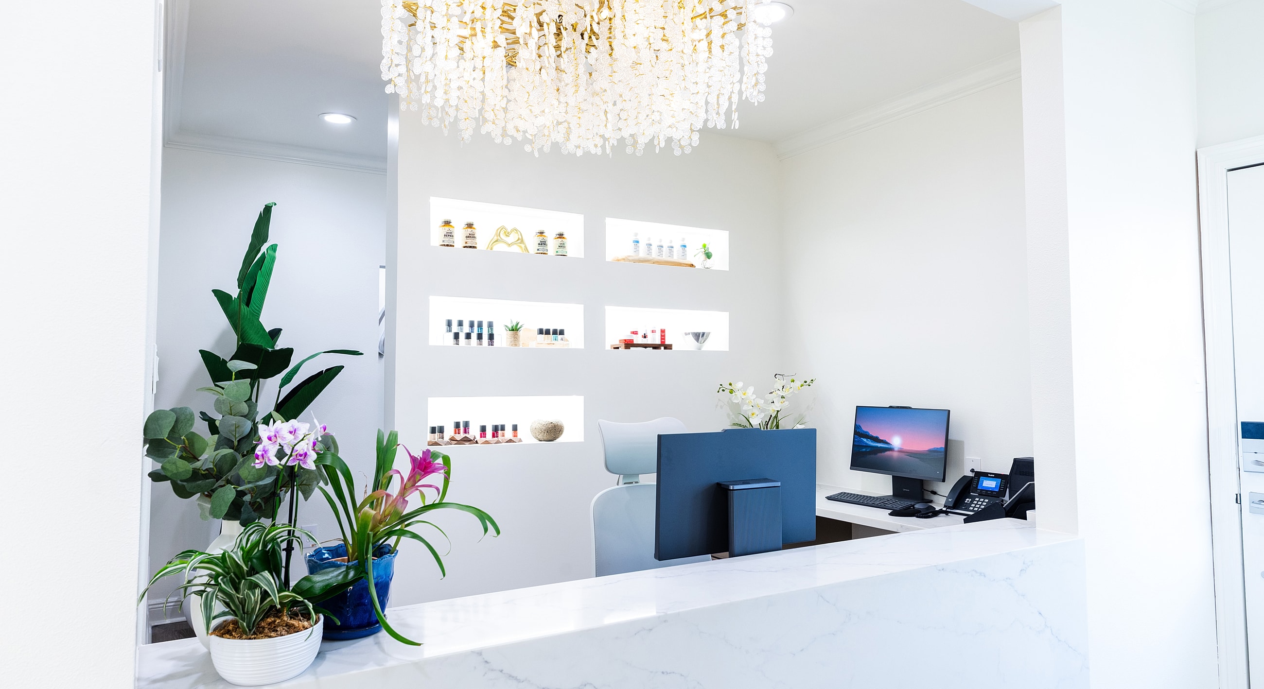 Modern reception area with decorative plants.