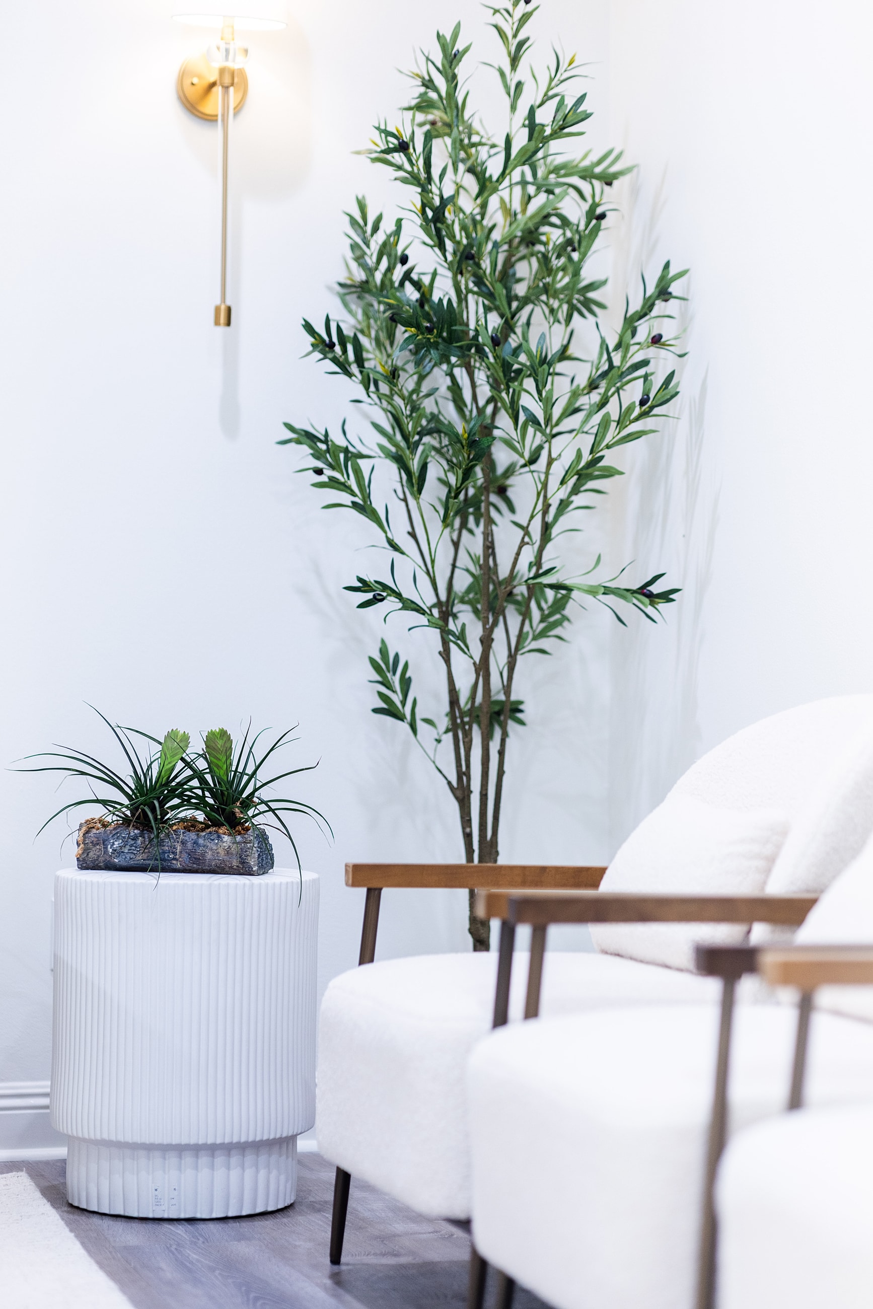 Modern living room with plants and cozy furniture.